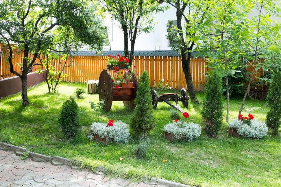 Pensiunea Aurica Tîrgu Lăpuş Bagian luar foto