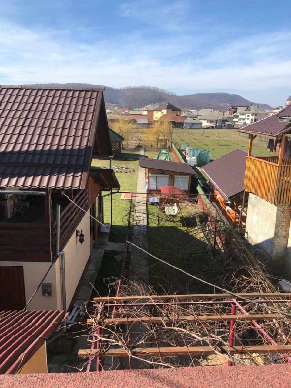 Pensiunea Aurica Tîrgu Lăpuş Bagian luar foto